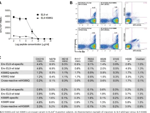 FIG 5 K588Q and not K588R is an escape variant in HLA-B(B) Cross-recognition of EL9 wild type and EL9 K588Q (top panels) versus EL9 wild type and EL9 K588R (bottom panels)