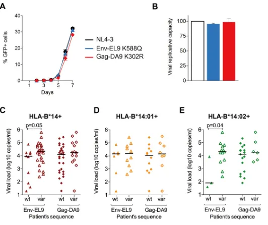 FIG 6 Impact of Gag-DA9 and Env-EL9 escape mutants on viral ﬁtness and HIV infection outcome