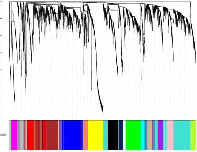 Figure 2: Clustering dendrogram of genes, with dissimilarity based on topological overlap, together with assigned module colors.