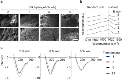 Figure 3. Space conformity and swelling of self-assembling silk hydrogels. (a) Assessment of swelling of self-assembling silk hydrogels