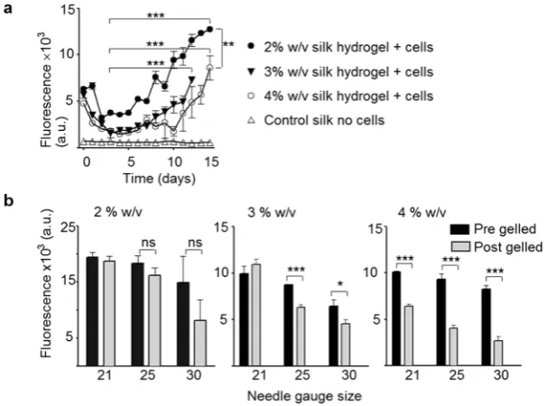 Figure 5. Cytocompatibility of MSCs in self-assembling silk hydrogels. (a) Viability of MSCs encapsulated in self-assembling silk hydrogels for up to 14 days