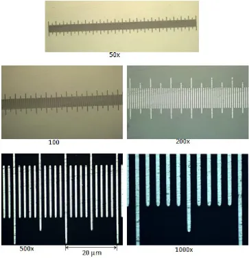 Figure 40 - Calibration scale at different LOM magnification. 
