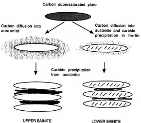Figure  2-4 Schematic temperature-time-transformation (TTT) diagram showing the different ‎