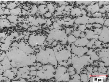 Figure 3-2 Scanning electron microscope through-thickness microstructure of as-received DP500 ‎