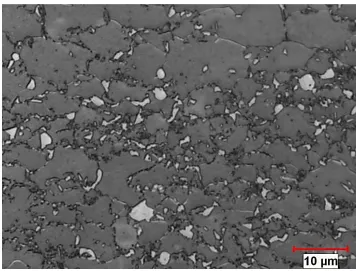 Figure 3-4 Optical through-thickness microstructure of as-received DP600 etched by Picral 4%; ‎