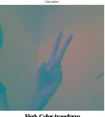 Fig 3:-RGB compensated image  