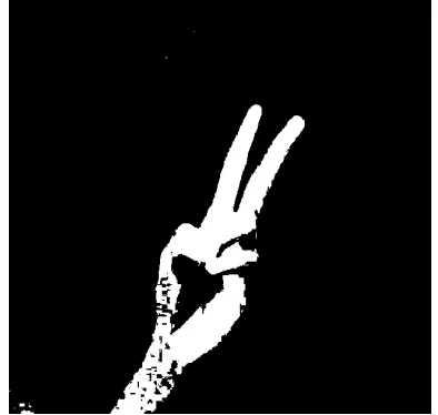 Fig 6 :Traing image                                                                              