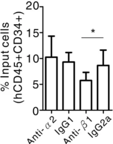 Figure 6. Presence of in vitro assayed LTC-ICs and lineage-committed progenitors in cord blood CD34þCD38 and CD34þCD38CD90þ integrin a2þ and a2 cell fractions