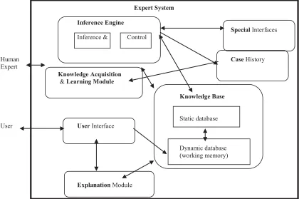 Fig 1: Structure of Expert System