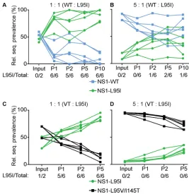 FIG 8 Impact of NS1 p85�-binding variants on IAV ﬁtness in vitro. A549 cells were initially infected withthe indicated mixture of rPR8-based NS1 wild-type (WT) or mutant virus at an MOI of 0.01 PFU/cell