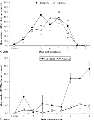Fig. 2. Changes in worm burdens in the liver and lungs of mice, during the tissue migratory phase of infection withAscaris suum following inoculation with 500 eggs