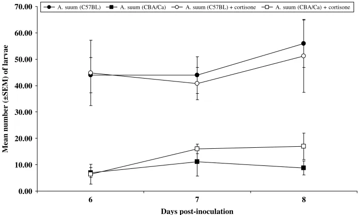Fig. 3. Changes in spleen weight following infection with Ascaris suumand treated with hydrocortisone (For CBA/Ca mice, the corresponding groups were mice infected withmouse spleen weight (100%) on day 5 in C57BL/6j [and placebo treated with water (spleen 