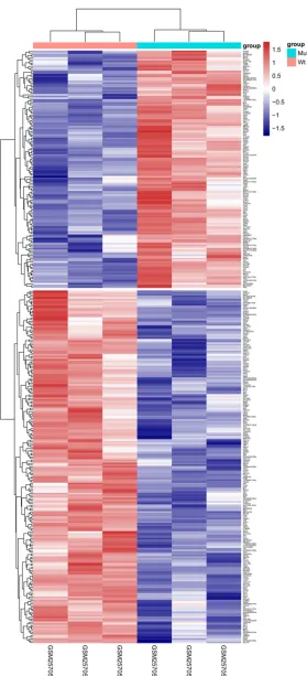 Figure 1. Two-way hierarchical clustering heat map of differentially expressed genes. The horizontal axis represents the different samples, the vertical axis represents differentially expressed genes, and the color depth represents the expression levels of the genes.