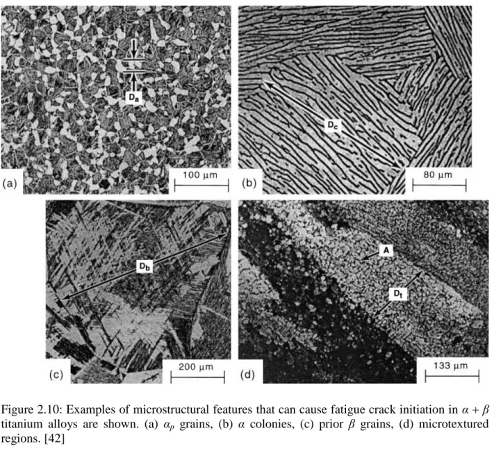 Figure 2.10: Examples of microstructural features that can cause fatigue crack initiation in α + β  titanium  alloys  are  shown