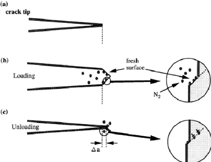 Figure  2.17:  A  schematic  diagram  of  the  model  for  nitrogen  entry  into  the  plastic  zone  during  fatigue  of  pure  titanium  is  shown