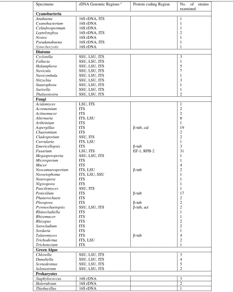 Table 1.   Microbial genera which their genomic DNA was extracted using this method.