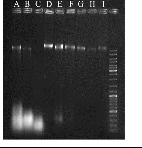 Table 1.    PicoDrop analysis of the extracted genomes using various versions of this recipe