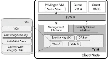 Fig 2:  TVMM environment 