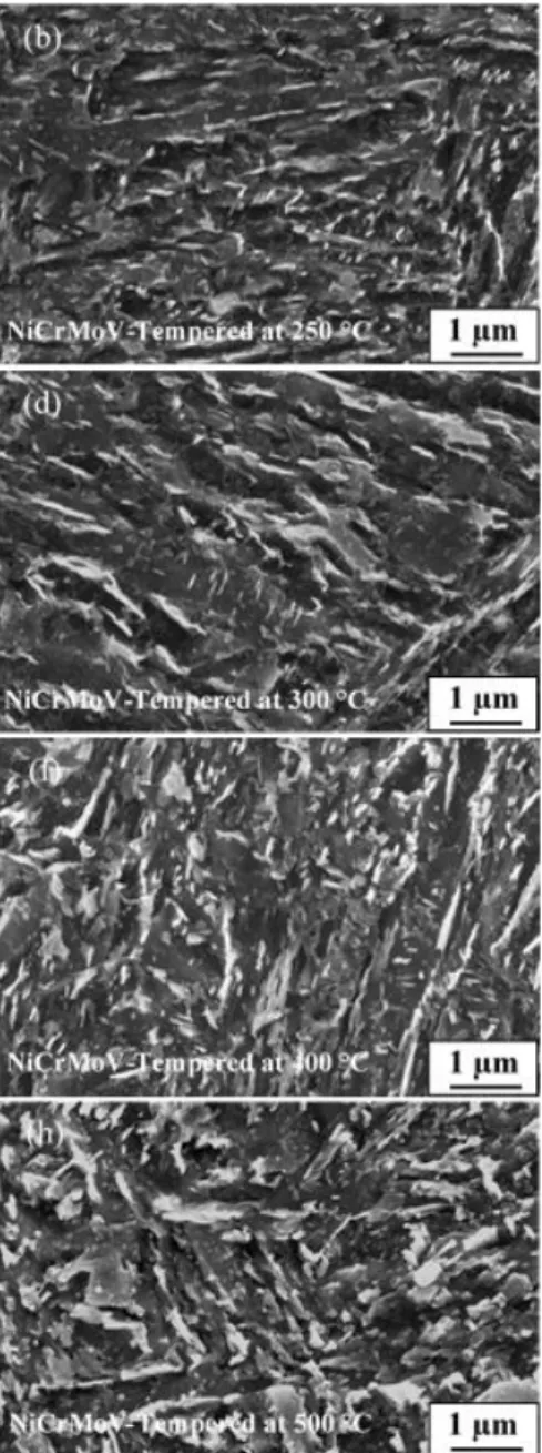 Fig. 1 SEM micrographs, corresponding to single tempered NiCrSi and NiCrMoV steels at  different tempering temperatures