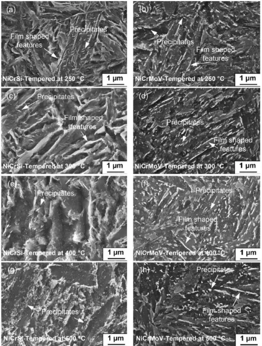 Fig. 2 Selected SEM micrographs, corresponding to double-tempered NiCrSi and triple- triple-tempered NiCrMoV steels 