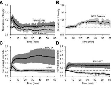 Figure 2.5: The mSH2 biosensor closely tracks expected kinetics of EGFR phosphorylation 