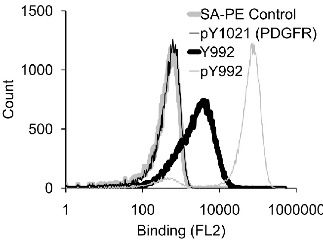 Table 2.1: Protein Sequences of engineered biosensors 