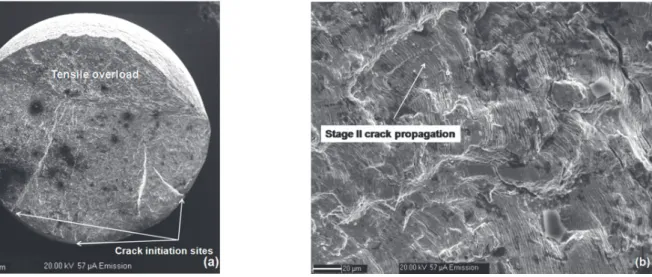 Figure 8: The fracture appearance of the fatigue tested specimen at ± 0.8 % strain amplitude (a) crack initiation sites and (b) transgranular  crack propagation in the material