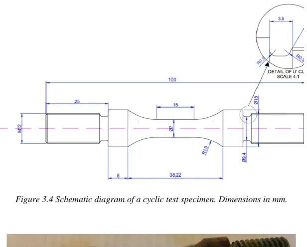 Figure 3.4 Schematic diagram of a cyclic test specimen. Dimensions in mm. 