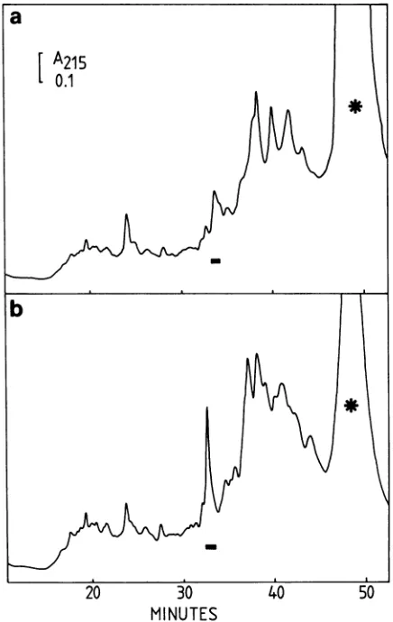 TABLE 1.composition Amino acid composition of the 57K HSV-1polypeptide in comparison with the average amino acid of a protein and of HSV-1 glycoproteins gB,gC, and gD'