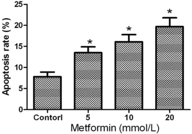 Figure 3. The effects of metformin on apoptosis of 253J non-invasive bladder cancer cells