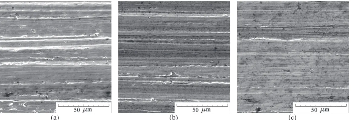 FIGURE 2. Electron microscope images of the coating surface after frictional treatment (a) and combined treatments: 