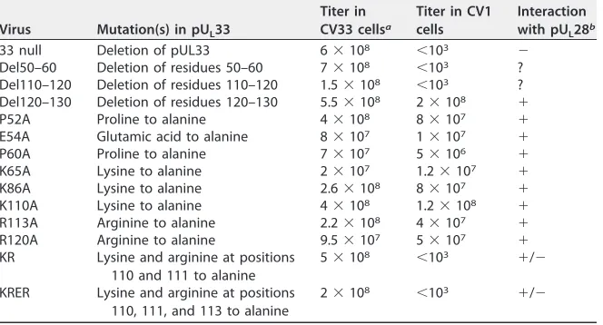 TABLE 1 Phenotype of UL33 mutant viruses