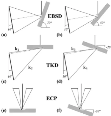 Fig. 1. Directional distributions of transmitted electrons intensity in TKD geometry for two sample tilts (shown in the ﬁrst column): 0 ° (a) and −30 ◦ (b)