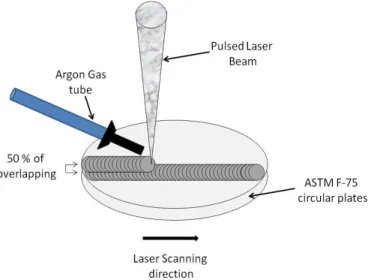 Figure 23.  Schematic representation of the LSM process on the Co-Cr-Mo alloy  disc plates [42] 
