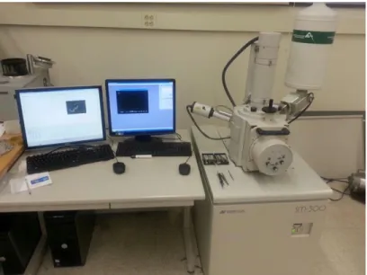 Figure 27.  Topcon SM300 Scanning Electron Microscope equipment with  incorporate EDS analysis 