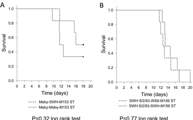 FIG 5 Daily rectal temperatures of rabbits infected with reverse-engineered Meby and SWH 8/2/93 viruses