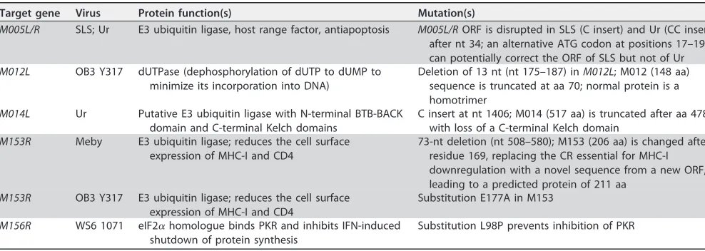 TABLE 2 Mutations in target genesa