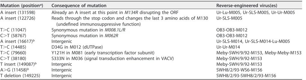 TABLE 5 Additional mutations found in the reverse-engineered viruses compared to the parental viruses
