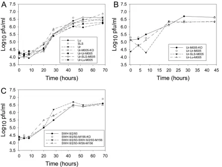 FIG 1 Replication of reverse-engineered and knockout (KO) viruses in RL-5 T lymphocytes