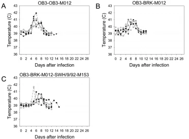 FIG 3 Daily rectal temperatures of rabbits infected with the reverse-engineered OB3 Y317 viruses