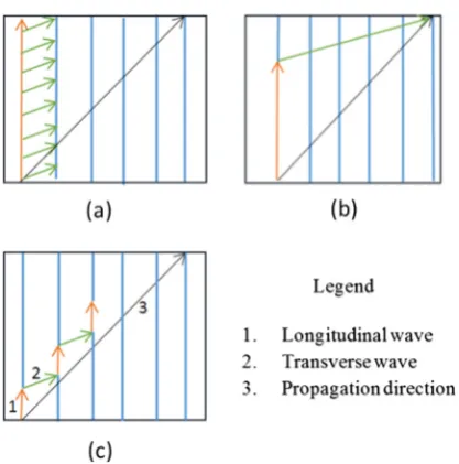 Fig. 12. Figure (a) documents longitudinal waves in ﬁbre direction causing transverse waves at 80° which in turn cause new longitudinal waves inadjacent ﬁbres