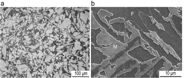 Figure 8. Microstructures after inter critical annealing at 750 ◦ C for 240 s followed by quenching to room temperature: (a) OM imaging and (b) SEM imaging
