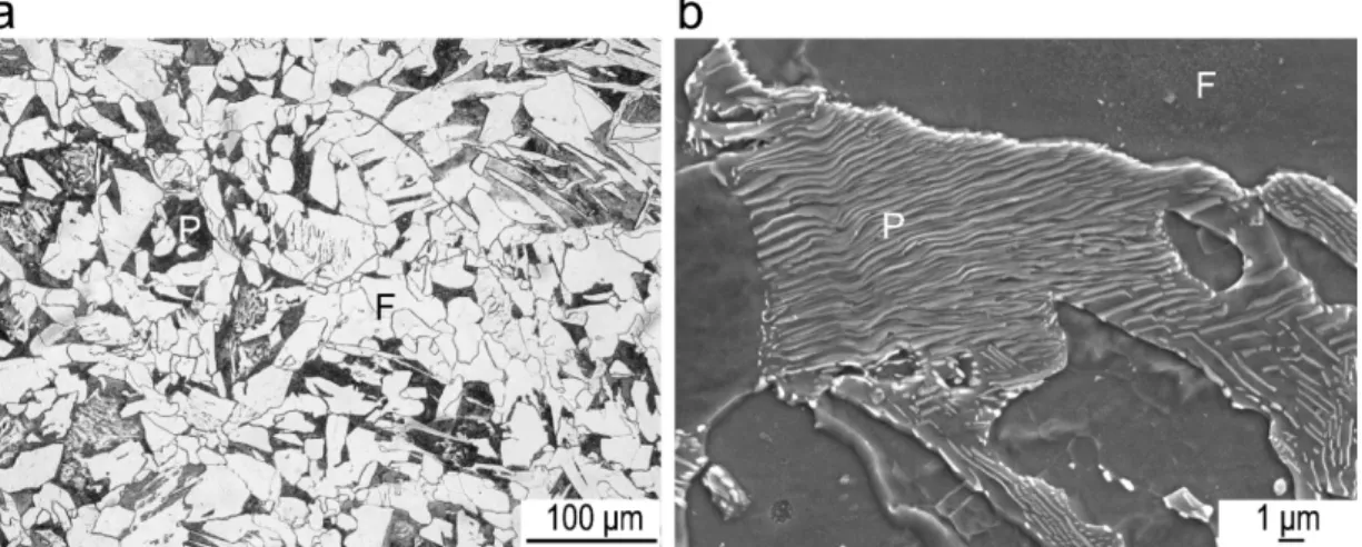 Figure 5 shows that the corresponding microstructure consists of ferrite (0.75 ± 0.02) and pearlite.
