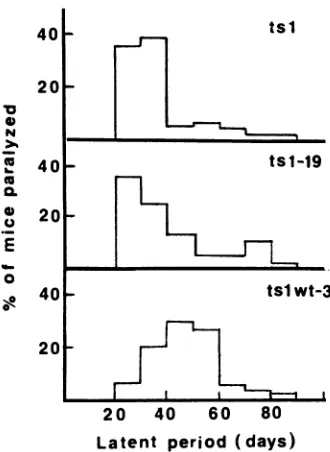 TABLE 1. Characterization of viruses produced by chimericgenomes in transfected NIH-3T3 cellsa