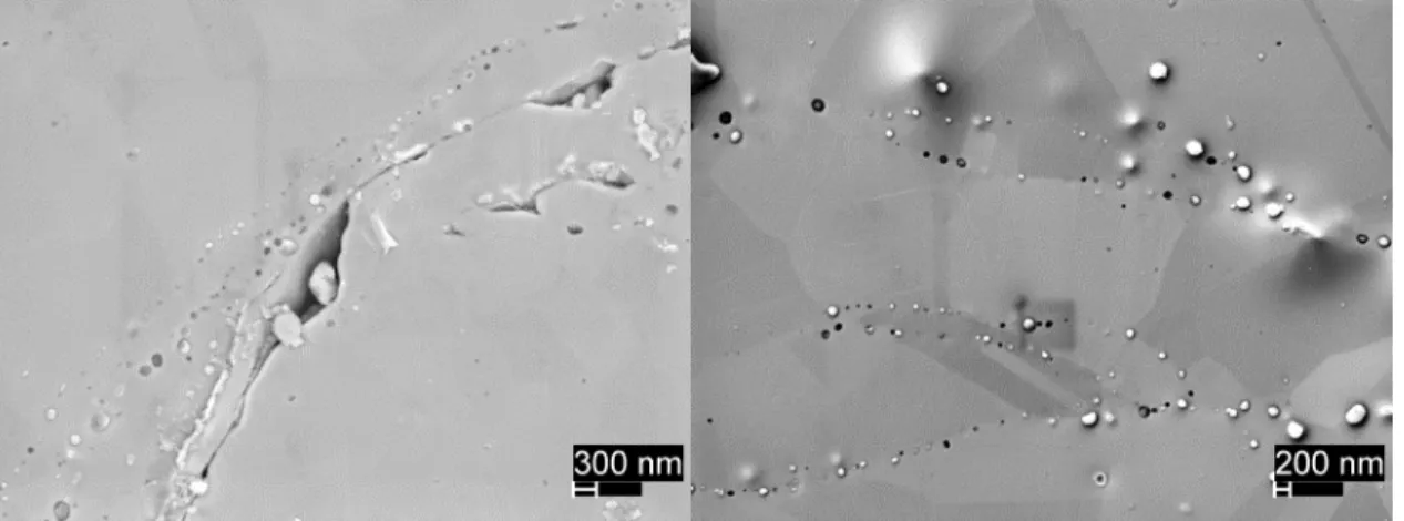 Figure 15.   High resolution secondary election images of micro-porosity in  950°C/1 hr samples