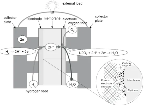 Figure 2.2: Basic principle of operation of a PEM fuel cell. Reproduced from ref- ref-erence [8].
