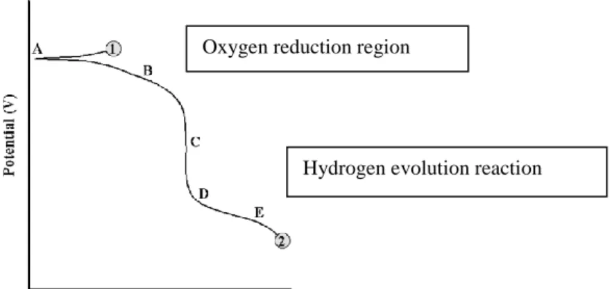 Figure  5:  A theoretical cathodic polarisation scan (Enos, 2008) 