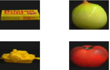 Figure 3: Database samples from coil-100 Dataset. 