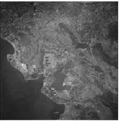 Figure 3. Satellite image 