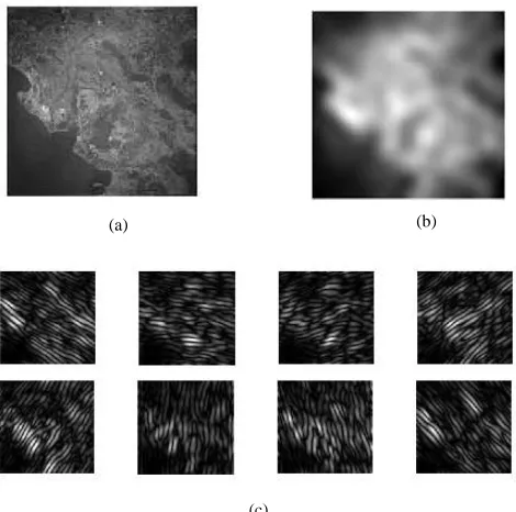 Figure  4.  An illustration of first level shearlet decomposition (a) The original satellite image 1, (b) The  approximate shearlet coefficients, (c) The detail shearlet coefficients